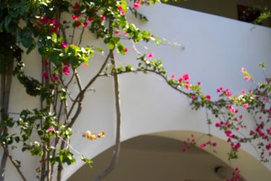 Grand Hotel Arciduca